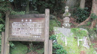 参拝の帰りは国博通りを散策してね