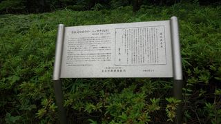 幸田文の長女、青木玉により寄贈された気