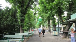 緑豊かな散歩道