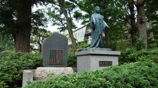 道路に向かって優雅な姿を見せていました