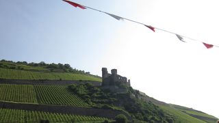 外観は崩れかけでいます