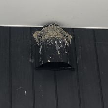 軒下にはツバメが巣を作っていました