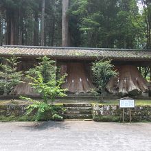 1991年の台風19号で被害を受けた御神木の切り株