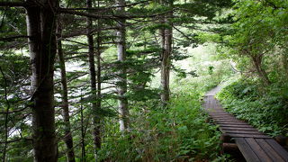 周囲を一周できます