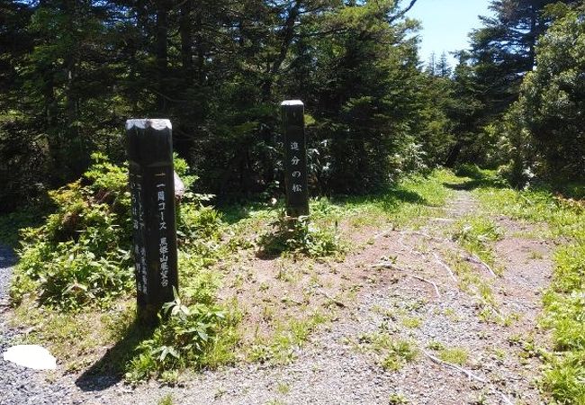 湿原と熊野岳の風景が素晴らしい