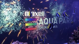 水族館を超えた水族館☆