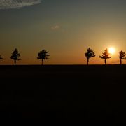 北海道ならどこにでもある風景だけど、夕暮れ時の景色は綺麗だった