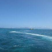紺碧の海、グラスボートから珊瑚礁が見られます