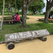 芝生に鳥の巣箱があるほのぼのＳＡ