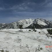 6月が来ようというのに雪が深い