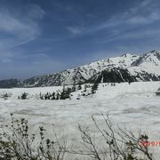 雪原の弥陀ヶ原です