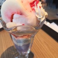 ワイアード キッチン 湘南T-SITE店