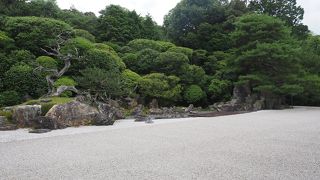 おすすめは特別拝観ツアー