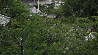 無料拝観でも見ごたえあり