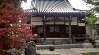 立派な日本建築と日本庭園が素晴らしい