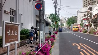 つつじの花々がたいへんきれいでした