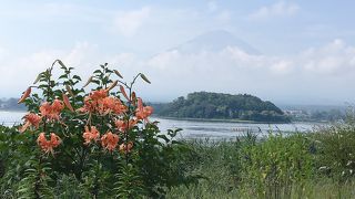 海外の方が沢山います。