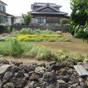 庭に花が植えられていました