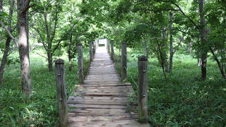 サテライト展望台が良い景色です