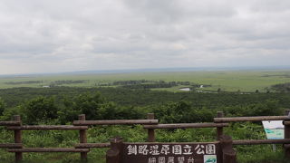 見どころがたくさん