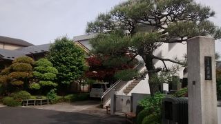 庭にある日本特有の植物はたいへんよく手入れがされていてきれい