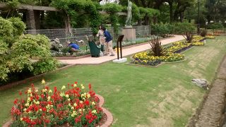 熱心なボランティアの方々の細やかな世話に、心から感謝です！