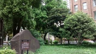 名前通りに烏帽子に似ていますが、かなり大きいです