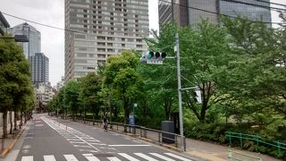 冬の間は、夜のイルミネーションが最高にきれいで、世界トップレベル間違いなしです。