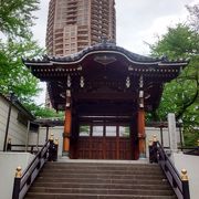 元麻布ヒルズ フォレストタワーのモダンなビルを背景に善福寺 勅使門を撮影するべき