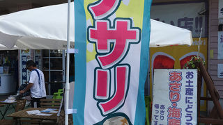 春は潮干狩りを楽しめる。