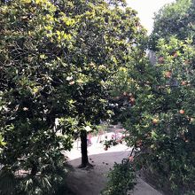 橋から見られる風景