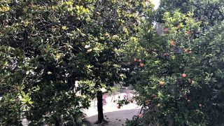 市外からピレ門に向かう際渡る橋