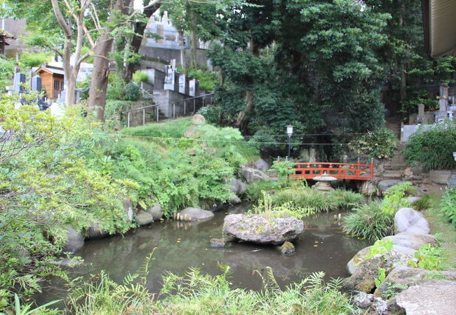 心岩寺境内には湧水とその水をたたえる池があります
