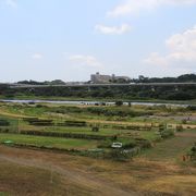 相模川の河川敷は水と緑と風広場になっています