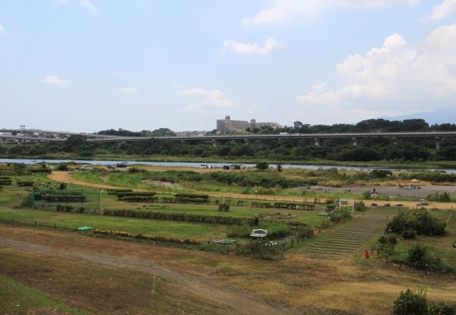 相模川の河川敷は水と緑と風広場になっています