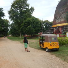 チャーターした車