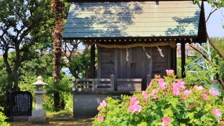 田畑の中にポツンとある