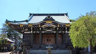 徳川家にゆかりのあるお寺