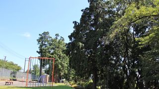 眺めの良い公園