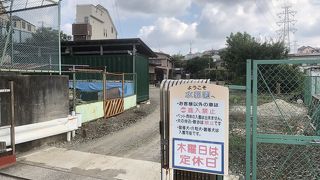 今は貴重な横浜の釣り堀に