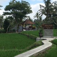 敷地には田んぼが