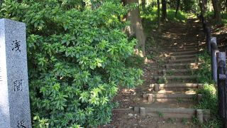 富士山公園内にある坂