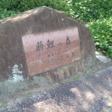 碑の詳細です。跡地周辺の植え込みを勝鯉の森と呼んでいる様です