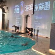 神戸市立須磨海浜水族園