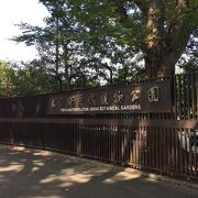 都立神代植物公園