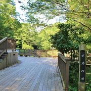 座間谷戸山公園の真ん中あたりにある池