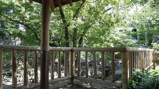 石神井公園まで続く遊歩道の始まり