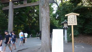 海外からの訪問者が多くなりました