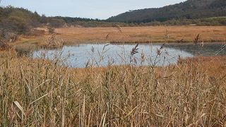 手軽にトレッキング