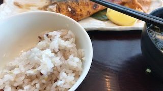 ごはんが３種類から選べるのは嬉しい